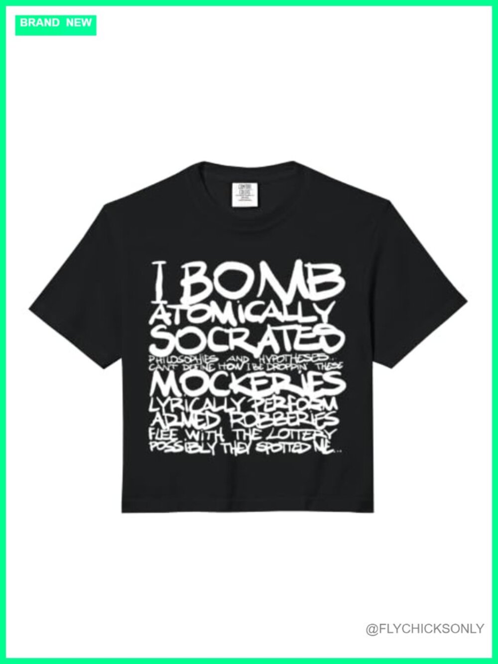 Wu Tang Saga Continues Comfort Colors Boxy Crop Top Made in USA